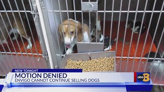 Federal judge issues order preventing Cumberland dog breeder from selling more than 2,000 beagles in