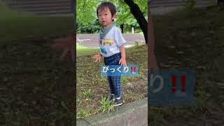 つまずいてびっくりする1 歳11ヶ月😂#1歳11ヶ月 #1歳 #自然 #公園 #遊び #外遊び