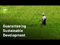 Guaranteeing Sustainable Development: Debt Relief for a Green and Inclusive Recovery