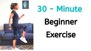 30 Minute Beginner easy exercise ||  Indoor Brisk walking || Malayalam