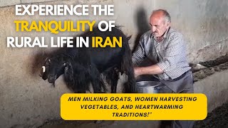 Discover the Charms of Rural Life in Iran: Milking, Vegetable Harvesting, Heartwarming Traditions