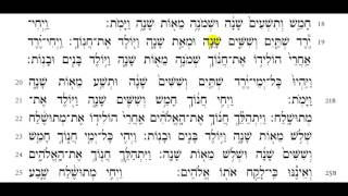 Torah Reading - Genesis Chapter 5 (HD)