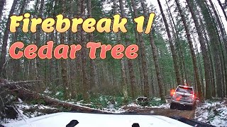 FEB 2024 - Firebreak 1/Cedar Tree