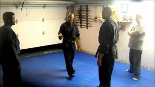 Bujinkan Butoku Dojo training # 173