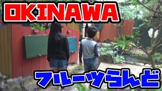 初めての沖縄旅行～OKINAWAフルーツらんど～☆Onodera Kid's