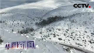 [中国新闻] 欧洲多国遭遇强降雪天气 希腊遭遇寒流 恶劣天气致3人死亡 | CCTV中文国际