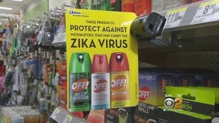 Zika: Fact Vs Fiction