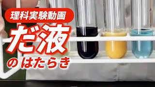 だ液の実験〜だ液によってデンプンはどのように変化するのか？〜