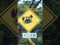 生き物達に注意して下さい🥰沖縄おもしろ道路標識いろいろ