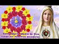 santo rosario corto🌷hoy jueves 26 diciembre paz✨alegria🌹misterios luminosos🙏pide a la virgen maría