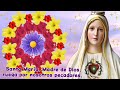 santo rosario corto🌷hoy jueves 26 diciembre paz✨alegria🌹misterios luminosos🙏pide a la virgen maría