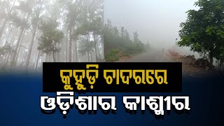 କୁହୁଡ଼ି ଚାଦରରେ ଓଡ଼ିଶାର କାଶ୍ମୀର | Odisha Reporter