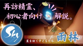 雨林の再訪精霊　初心者向け徹底解説プレイ【Sky 星を紡ぐ子どもたち】挑戦的な表現者