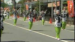 日野本丁筋　2009  ひのよさこい祭り