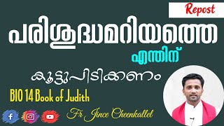 BIO 14 പരിശുദ്ധമറിയത്തെ എന്തിന് കൂട്ടുപിടിക്കണം? Book of Judith BIBLE STUDY Fr. Jince Cheenkallel