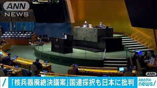 国連で「核兵器廃絶決議案」採択　日本に厳しい声も(2020年12月8日)