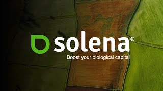 Solena | SAP.iO Latin America (Demo Day)