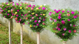 CREATE A FLOWER PARADISE IN ANY SPACE WITH PLASTIC BOTTLES!