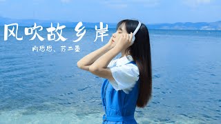 向思思、苏二墨 - 风吹故乡岸 (抖音热播DJ版) Gió Thổi Đến Bờ Quê Tôi (Remix)『风拐了几个弯，吹到我故乡的岸，它轻轻听我讲』2k24抖音火流行歌曲推荐TikTok