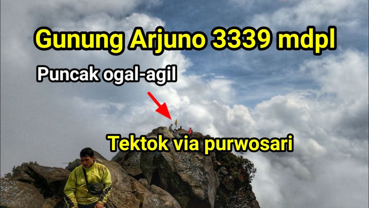 Pendakian Gunung Arjuno Via Purwosari - YouTube