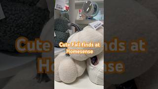 Cute Fall finds at Homesense #fall #fall2023 #autumn #autumn2023 #tkmaxx #homesense #tjmaxx #pumpkin