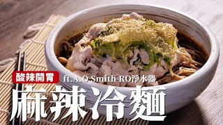 麻辣冷麵｜酸酸辣辣超涮嘴，麵條Q彈秘訣就是要搓揉！ ft.A.O Smith RO淨水器 [詹姆士]