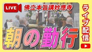 【公式】妙應寺チャンネル がライブ配信中！