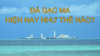 Đá Gạc Ma hiện nay như thế nào? Quần đảo Trường Sa - Việt Nam