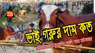 ভাই গরুর দাম কত|মৌলভীবাজারে কুরবানির পশুর হাটবাজার উদ্বোধন|qurbani hutbazar|Sunar bangla production