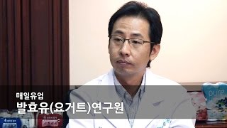 [MY Dream JOBS TV #84] - 매일유업 발효유(요거트) 연구원 (Research Scientist)