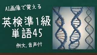 AI画像で覚える英検準1級単語 45