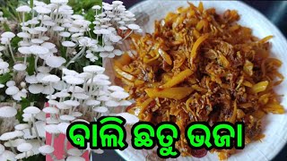 Bali chhatu recipe || Mushroom recipe || ବାଲି ଛତୁ ଭଜା ପ୍ରସ୍ତୁତି ପ୍ରଣାଳୀ #mushroom