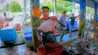 Koduwa fish Cutting Skills | කොඩුවා මාළු කරවල වලට කපන හැටි