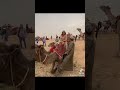 ann marie vaz riding a camel in egypt. shorts camels animals egypt jamaica viral subscribe