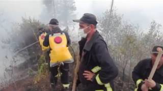 Fire in Borjomi georgia