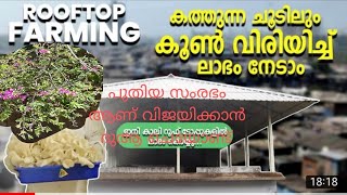 പ്രശ്നങ്ങൾക് പരിഹാരം ആയി/എന്റെ നഷ്ട്ടം നിങ്ങൾക് വരരുത് 😍😍