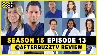 Grey's Anatomy Season 15 Episode 13 Review & After Show