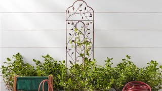 Tall Metal Garden Trellis For Climbing Plants Freestanding Modern