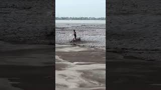 钱塘江抢潮头鱼Qiantang River tide-snatching head fish，34