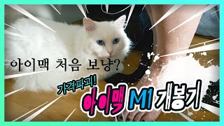 여러분 왜 아이맥 M1일까요?[Feat.럼걸(RUMGIRL) of 데드챈트(DEAD CHANT)]