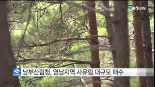 [경북] 남부산림청, 영남지역 사유림 대규모 매수 / YTN