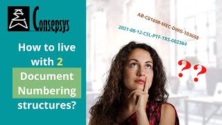 How to live with 2 document numbering structures? [Consepsys Tip of the Month]