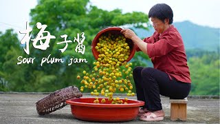 Golden sour plums fell all over the ground  pick a bucket to make pickles/duck sauce/fruit cold dri