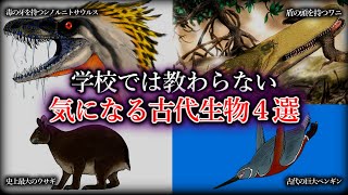 【ゆっくり解説】学校では教わらない気になる古代生物4選