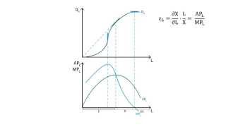 B.11 Production in the short run | Production - Microeconomics