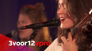 Pitou - Live at Song van het Jaar 2017