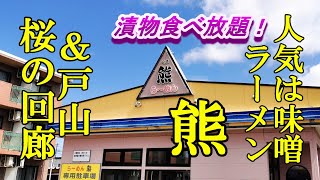 人気は味噌ラーメン、漬物食べ放題！らーめん熊 ＆戸山の桜回廊【青森県青森市】