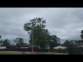 WILL THIS TREE STAY STANDING DURING HURRICANE BERYL?