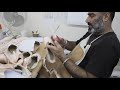 the making of a freed of london classic pointe shoe