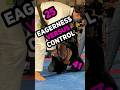 Takedown Breakdown: Eagerness Versus Control